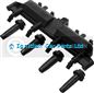 SMP-IIS003 CITROEN BERLINGO SAXO XSARA XSARA PICASSO Ignition Coil SMP