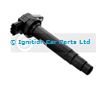 SMP-IIS027 NISSAN ALMERA Mk II ALMERA TINO PRIMERA PRIMERA Traveller Ignition Coil SMP