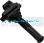 SMP-IIS059 FIAT BRAVA BRAVO COUPE MAREA MAREA Weekend Ignition Coil SMP